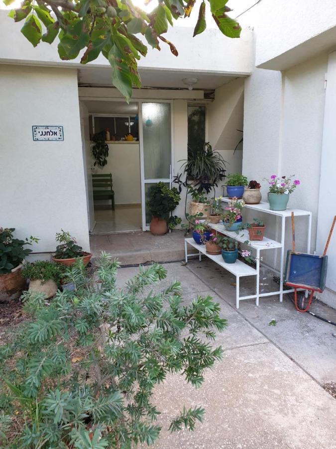 פינה חמה ברמה Appartement Ein Zivan Buitenkant foto