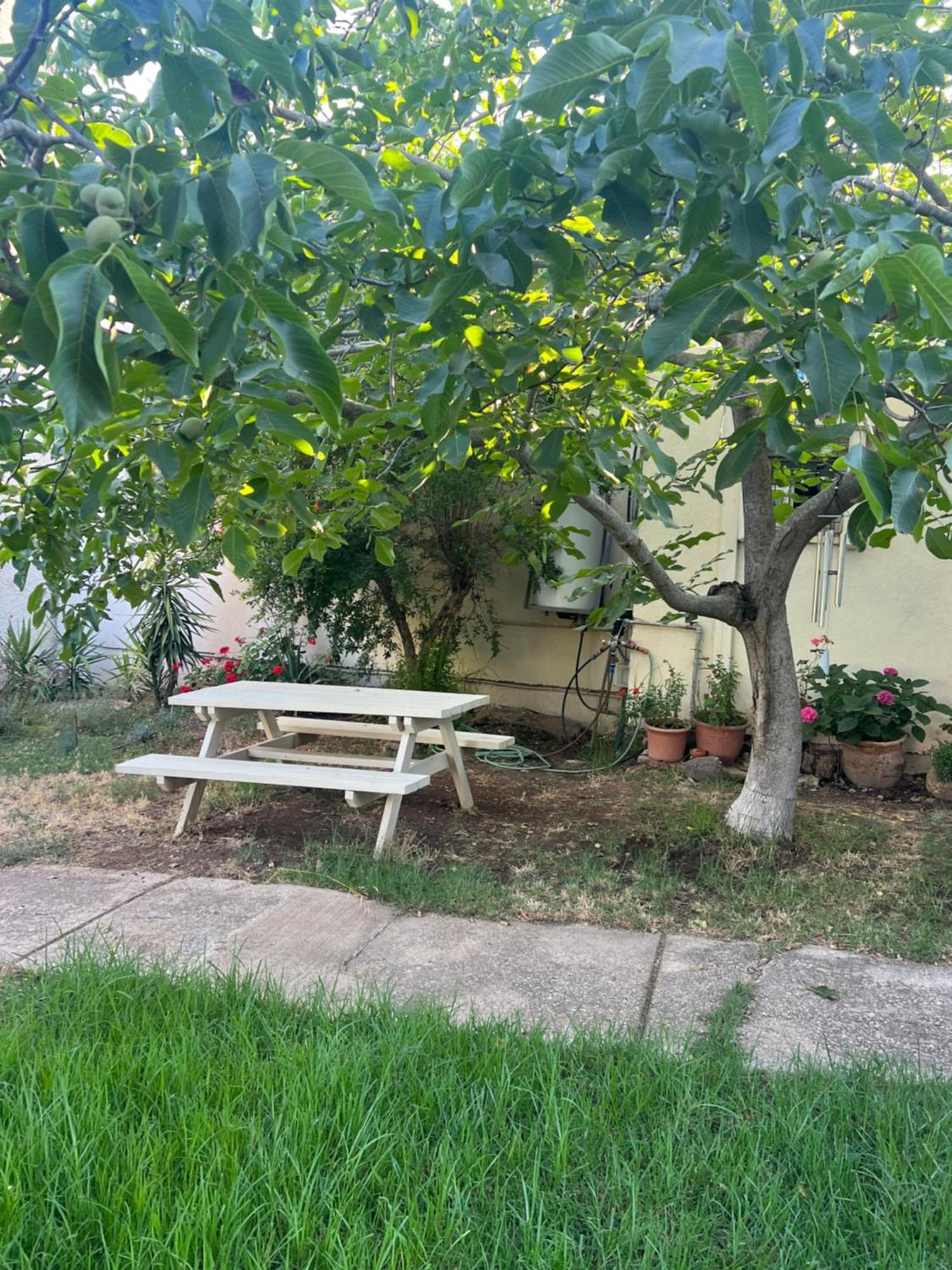 פינה חמה ברמה Appartement Ein Zivan Buitenkant foto